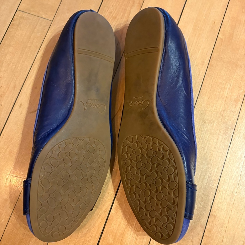Coach Blue/Purple Suede & Leather Ballet Flats with Buckle - Picture 3 of 5